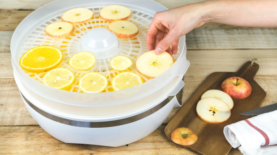 a food dehydrator is great value for money