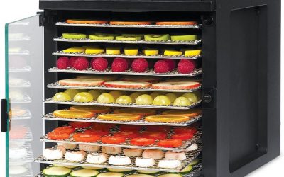 Best Commercial Dehydrators For Home [2022 Update]