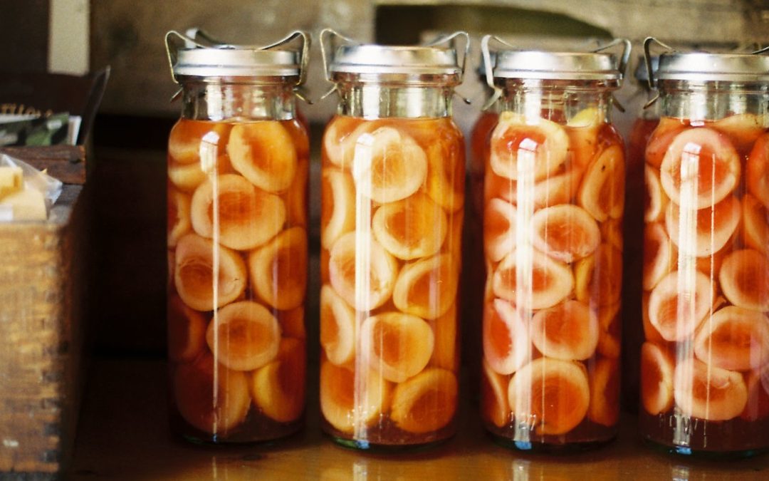 vacola jars for preserving food