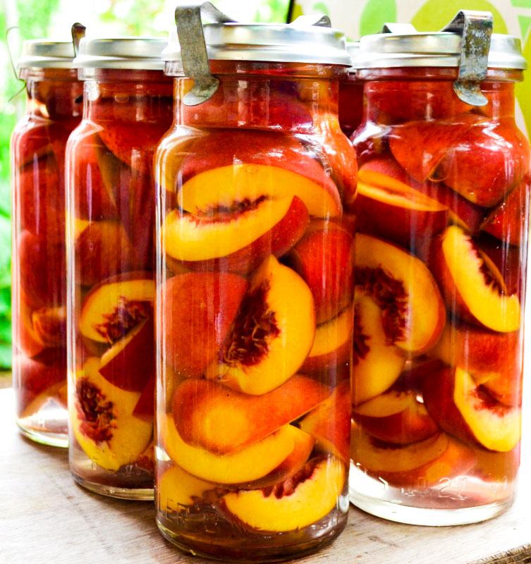 best vacola jars for home preserving