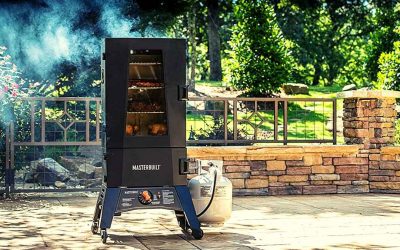 7 Best Gas Food Smokers For Home in 2021