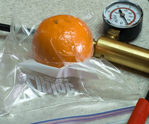 How To Use Ziploc Bags In A Vacuum Sealer