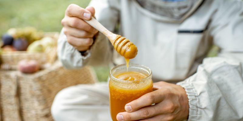 Fermenting honey increases anti viral activity